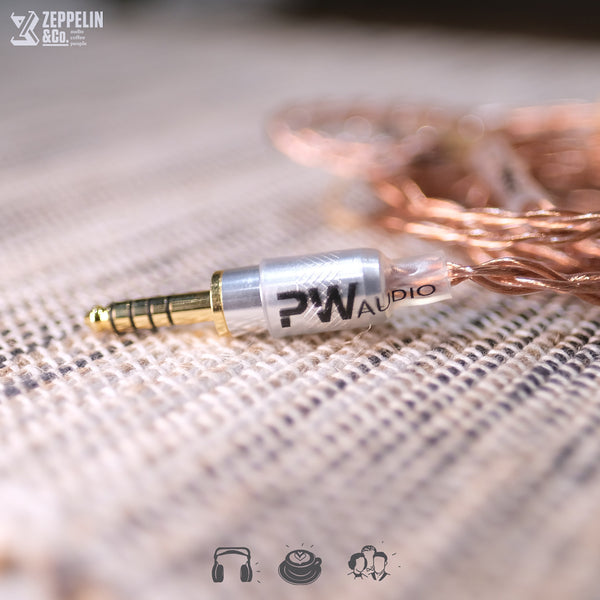 PW Audio No. 5 (IEM)