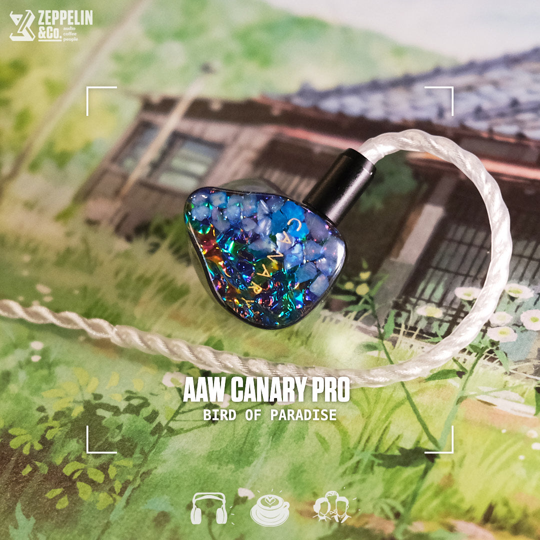 AAW Canary Pro UIEM – Zeppelin & Co