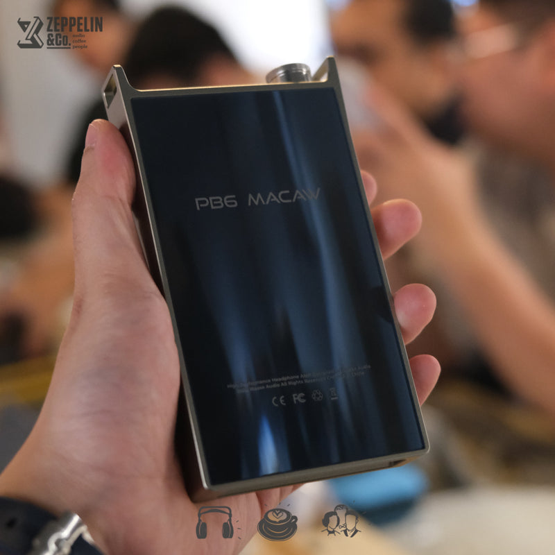 iBasso PB6 Macaw