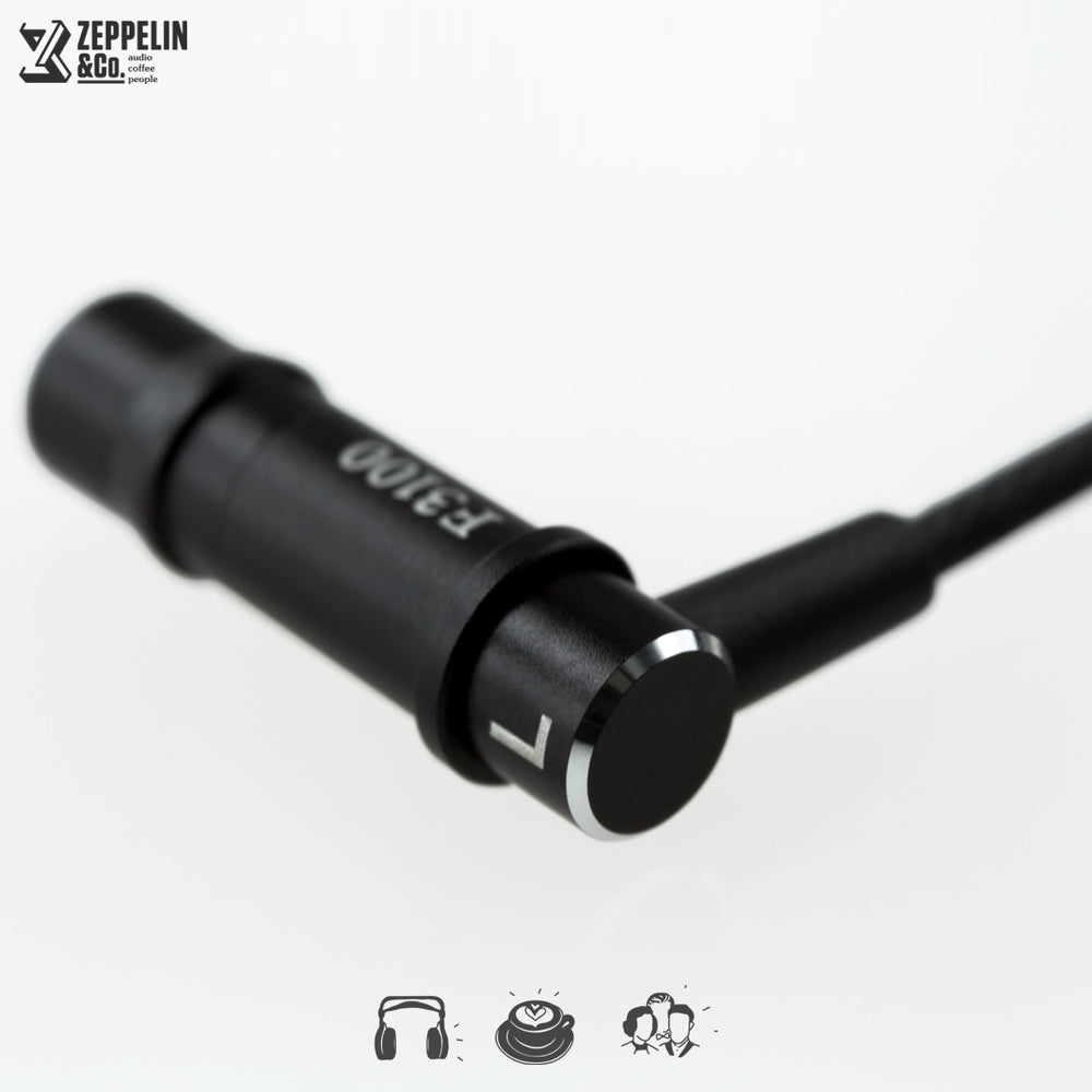 Final Audio F3100 – Zeppelin & Co